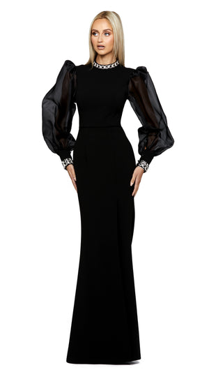 Winnie Sheer Sleeve Gown 