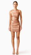 Rhian Fitted Mini Dress in Rust