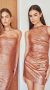 Rhian Fitted Mini Dress in Rust CAMPAIGN