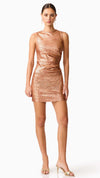 Rhian Fitted Mini Dress in Rust FRONT