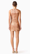 Rhian Fitted Mini Dress in Rust BACK