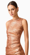 Rhian Fitted Mini Dress in Rust FRONT CU