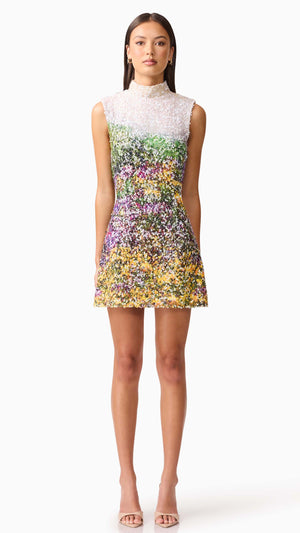 Arden Shift Mini Dress FRONT